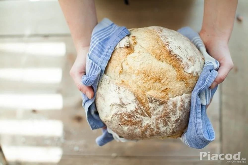 25\1. Pékségi\Konyhai kisegítő Pfalzi-erdőben