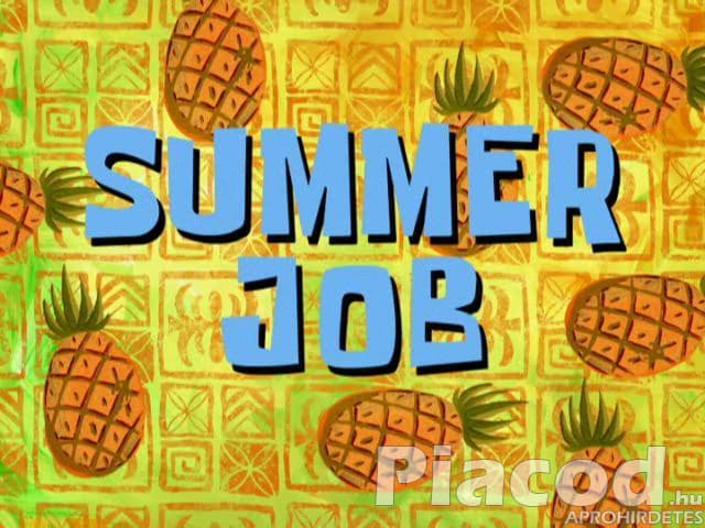 Diákmunka Zalaegerszeg